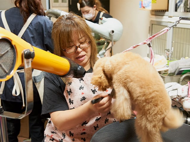 トリミングの様子