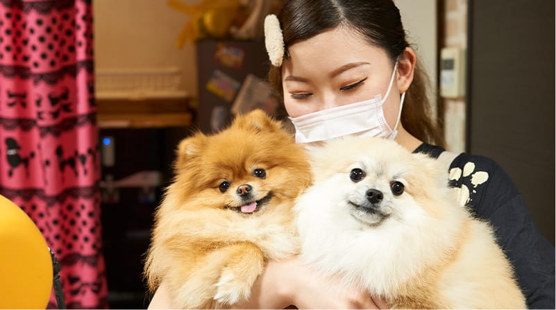 スタッフと犬達